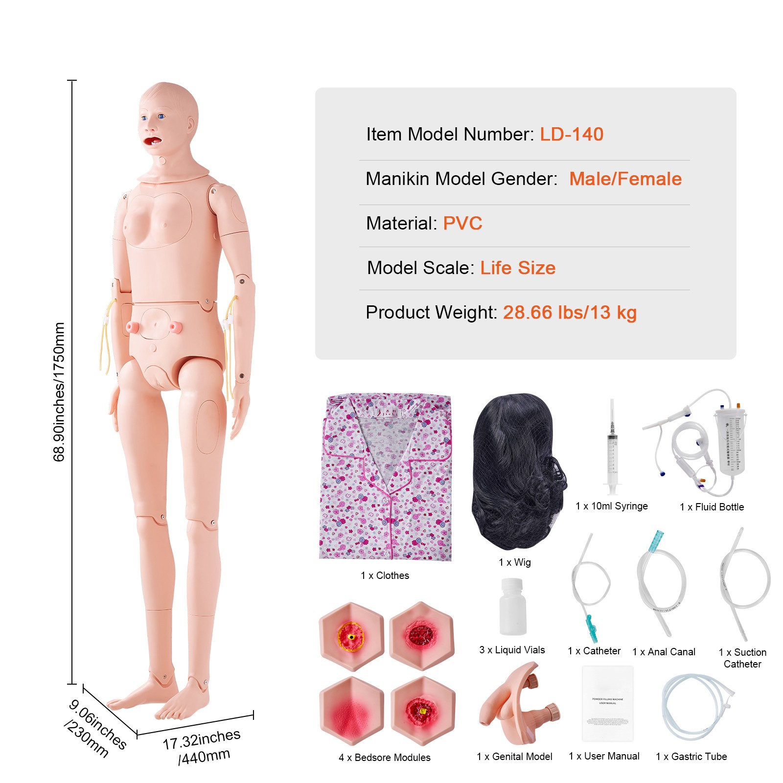 Uimoso Male/Female Manikin Model Anatomical Nursing Training Patient Care Teach