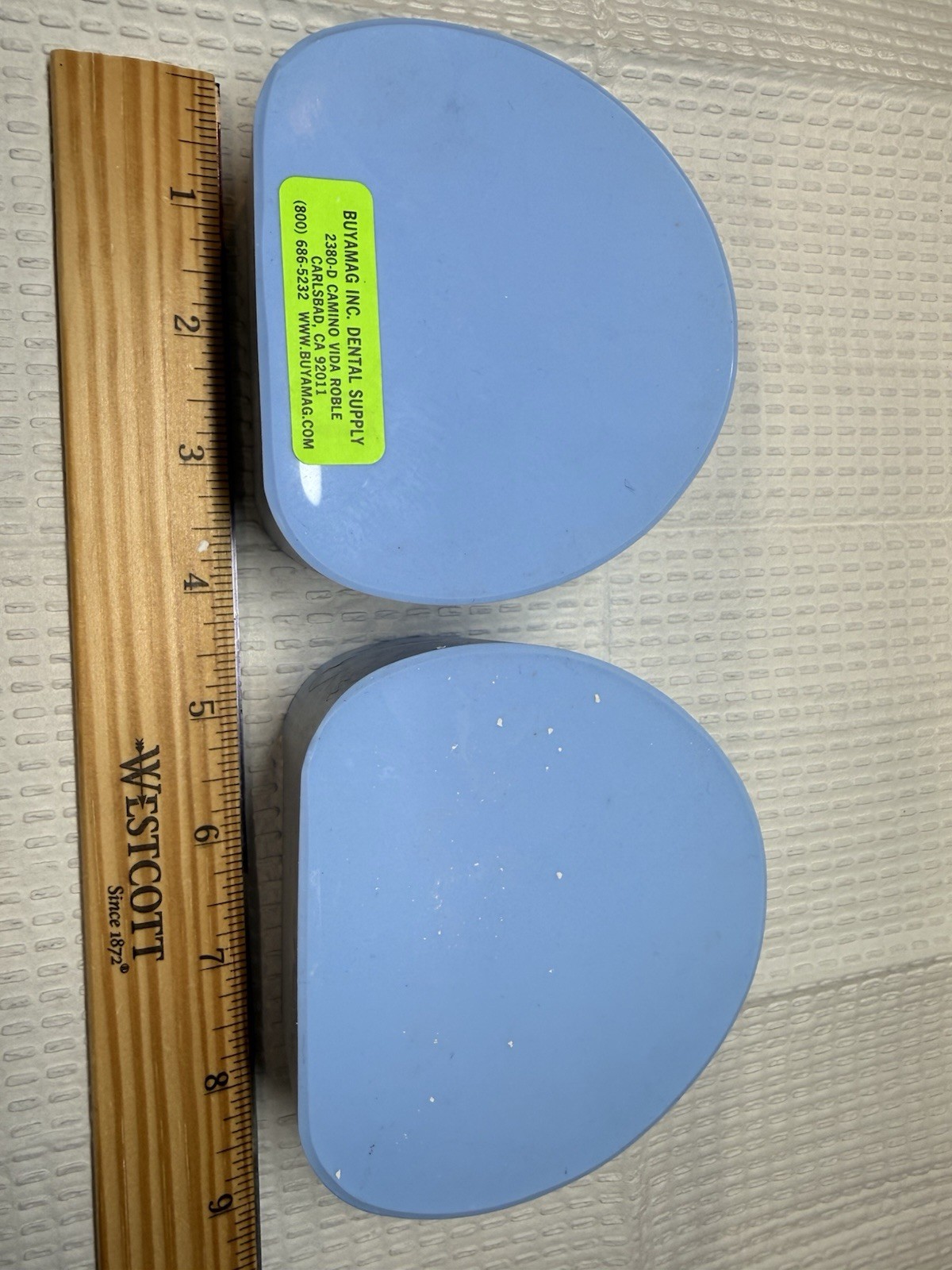 Dental Mold Cast Silicone Plaster Stone Maxillary Mandibular Maxilla Mandible