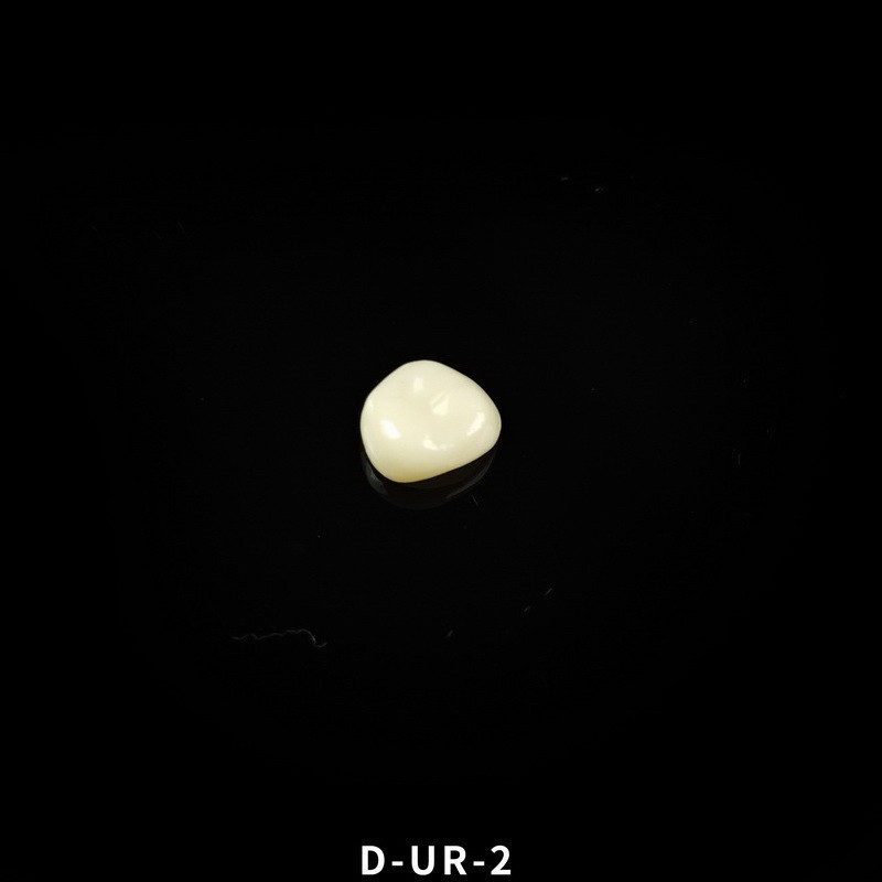Dental Kids Zirconia Crowns Anterior/Posterior Teeth Primary Molar Crown 1pc/box