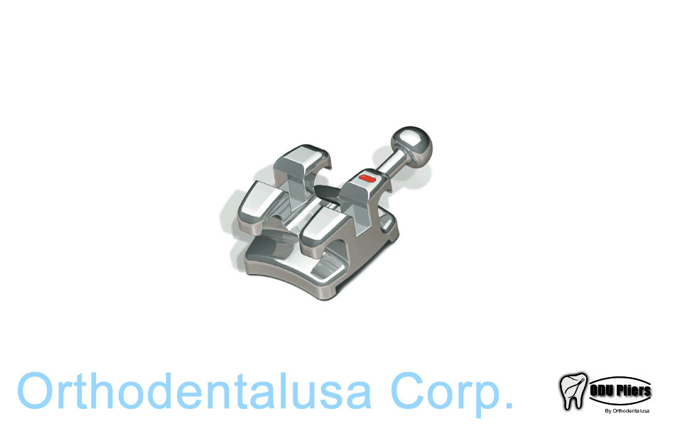 Masel AMERI TWIN ROTH BRACKET .022” / 29001021 Orthodentalusa Corp. USA seller
