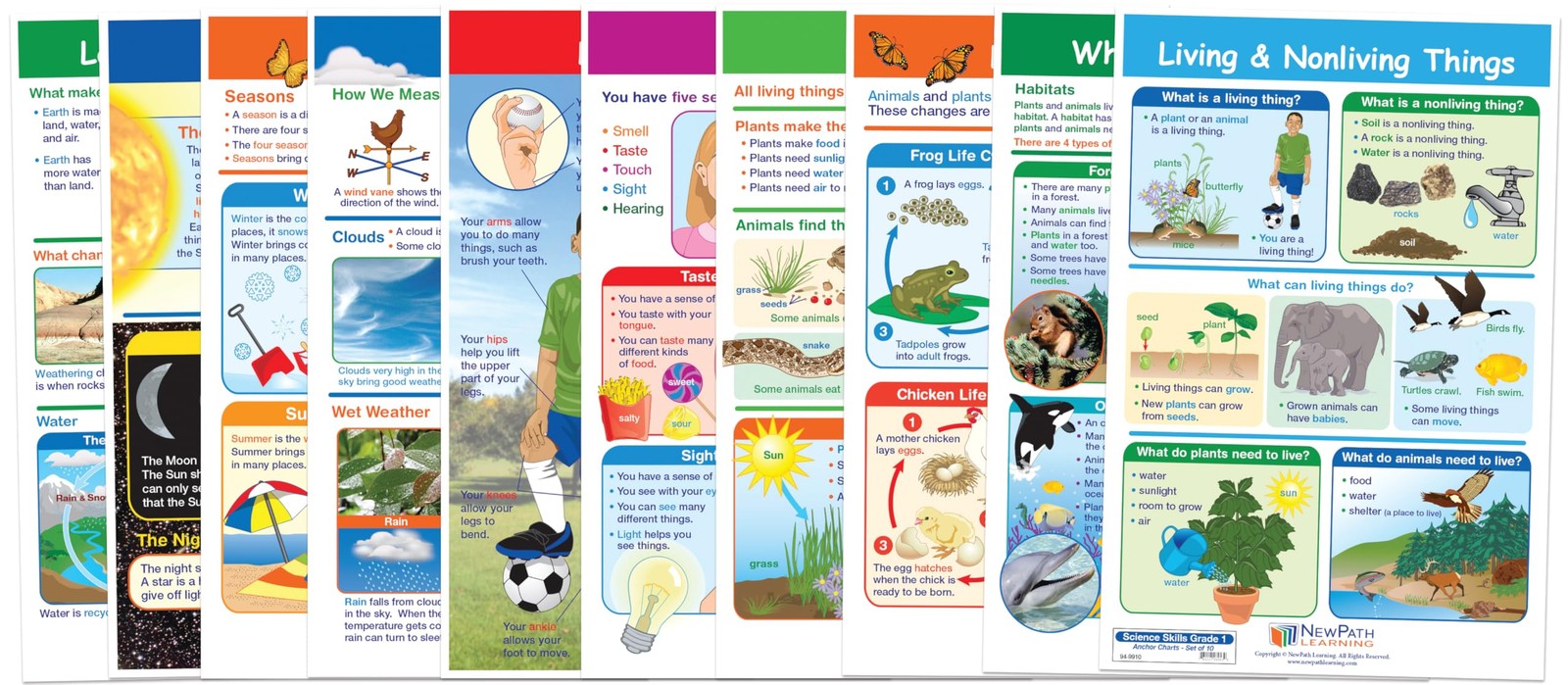 1 Science Anchor Charts Set of 10 (12×18″) & 25-Page Resource Guide Covering …