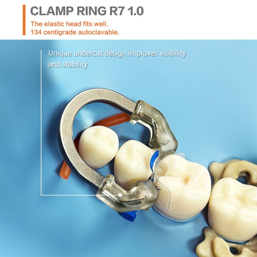 Dental Matrix Bands Ring Sectional Matrix Clamp Clear Matrix Anterior Matrices