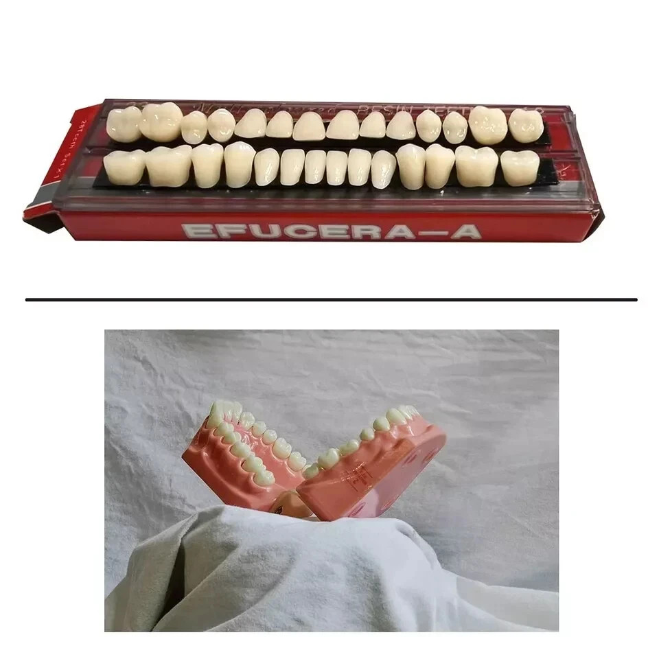28 Pcs/Set Dental A2 A3 Acrylic Resin Denture Shade Full Set False Teeth #23