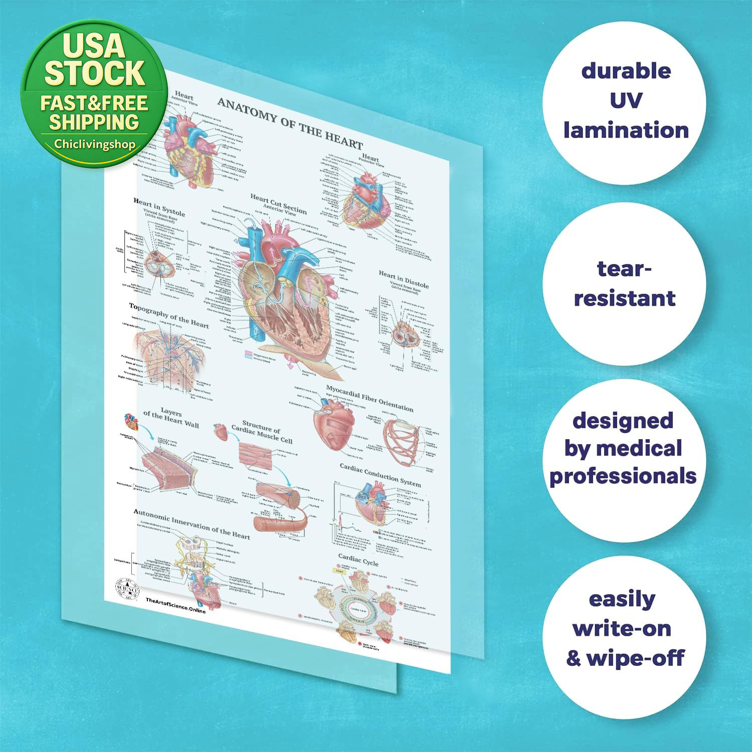 17 Human Anatomy Posters Medical Charts Classroom Office 18X30 Laminated