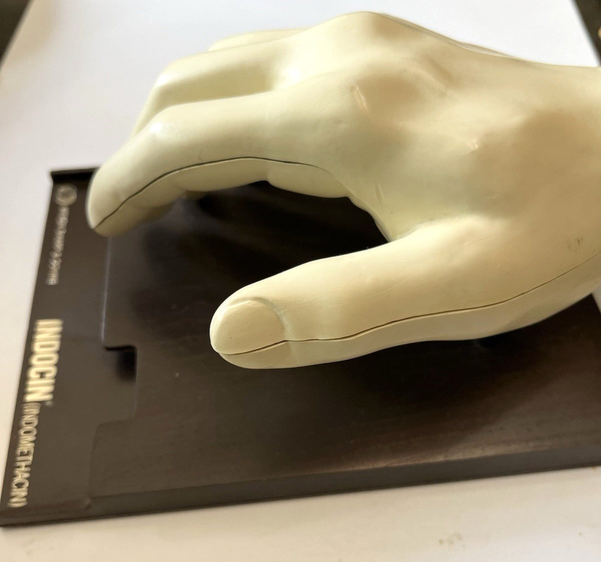 Vintage Merck Anatomical Medical Hand Model Indocin With Booklets 1967 Display
