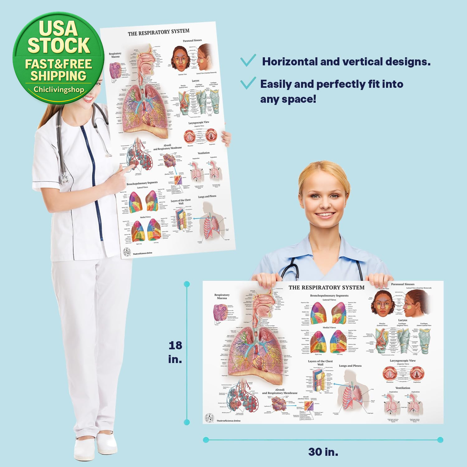 17 Human Anatomy Posters Medical Charts Classroom Office 18X30 Laminated