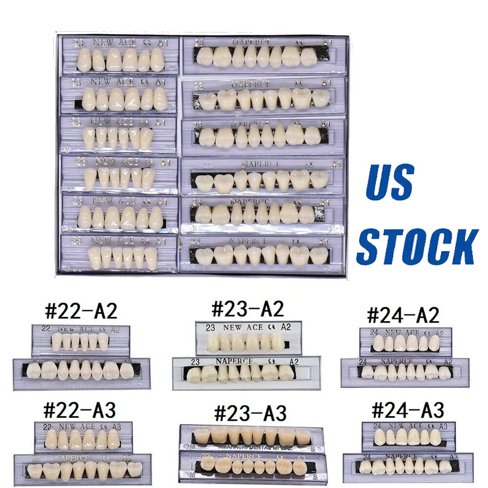 168PCS Acrylic Resin Denture Dental Upper Lower Shade A1 A2 A3 Teeth Set USA