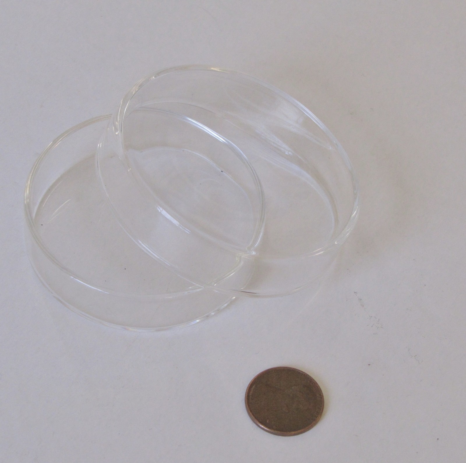 60mm Glass Petri Dish With Lab Cover Tissue Culture Plate Borosilicate Pack of 5