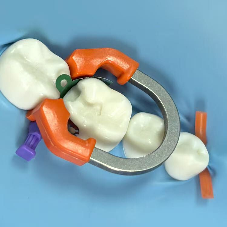 Dental Sectional Matrix Stystem Kit Matrix Bands M4/Universal NITI Clamp Ring R7