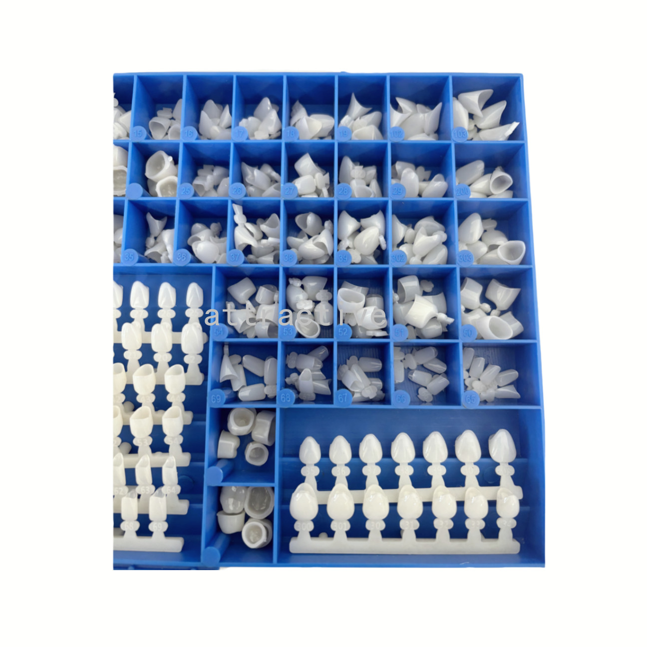 Temporary Dental Crowns 66Size Crown Mold Guides Premolar Molar Anterior Cuspid
