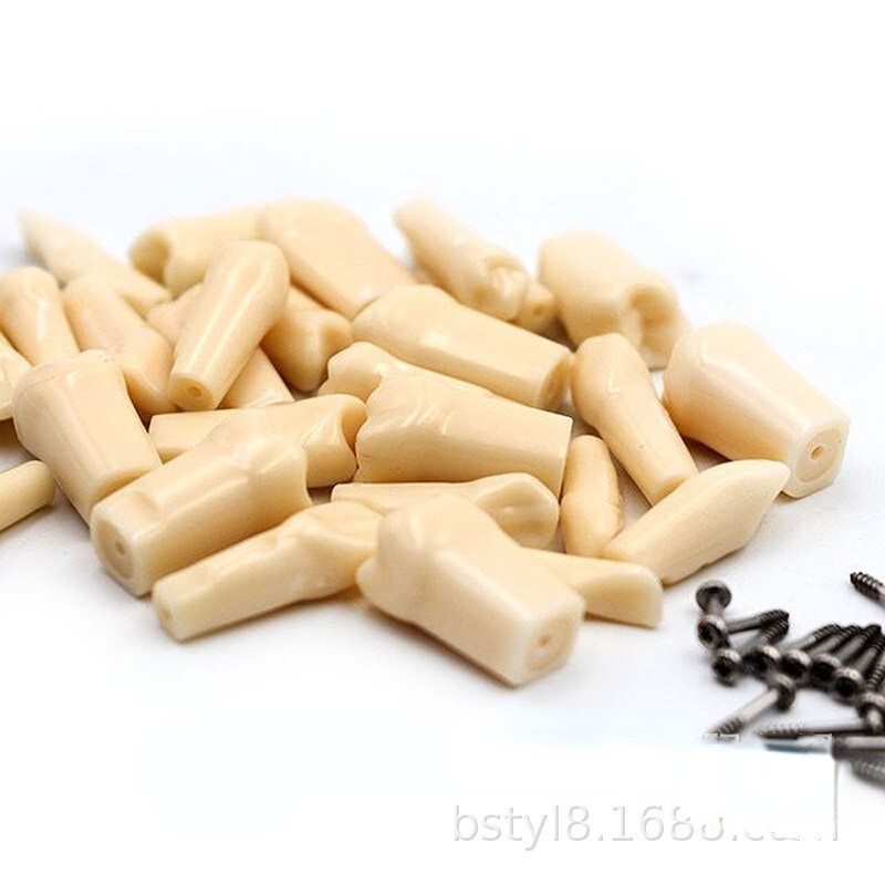 28 Pcs Dental Typodont Teeth Model Kilgore NISSIN 200 Type Removeable Teeth
