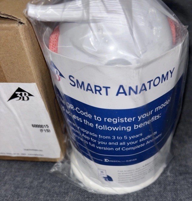 F15 Eye 3 times full-size 6-part – 3B Smart Anatomy, Brand New!