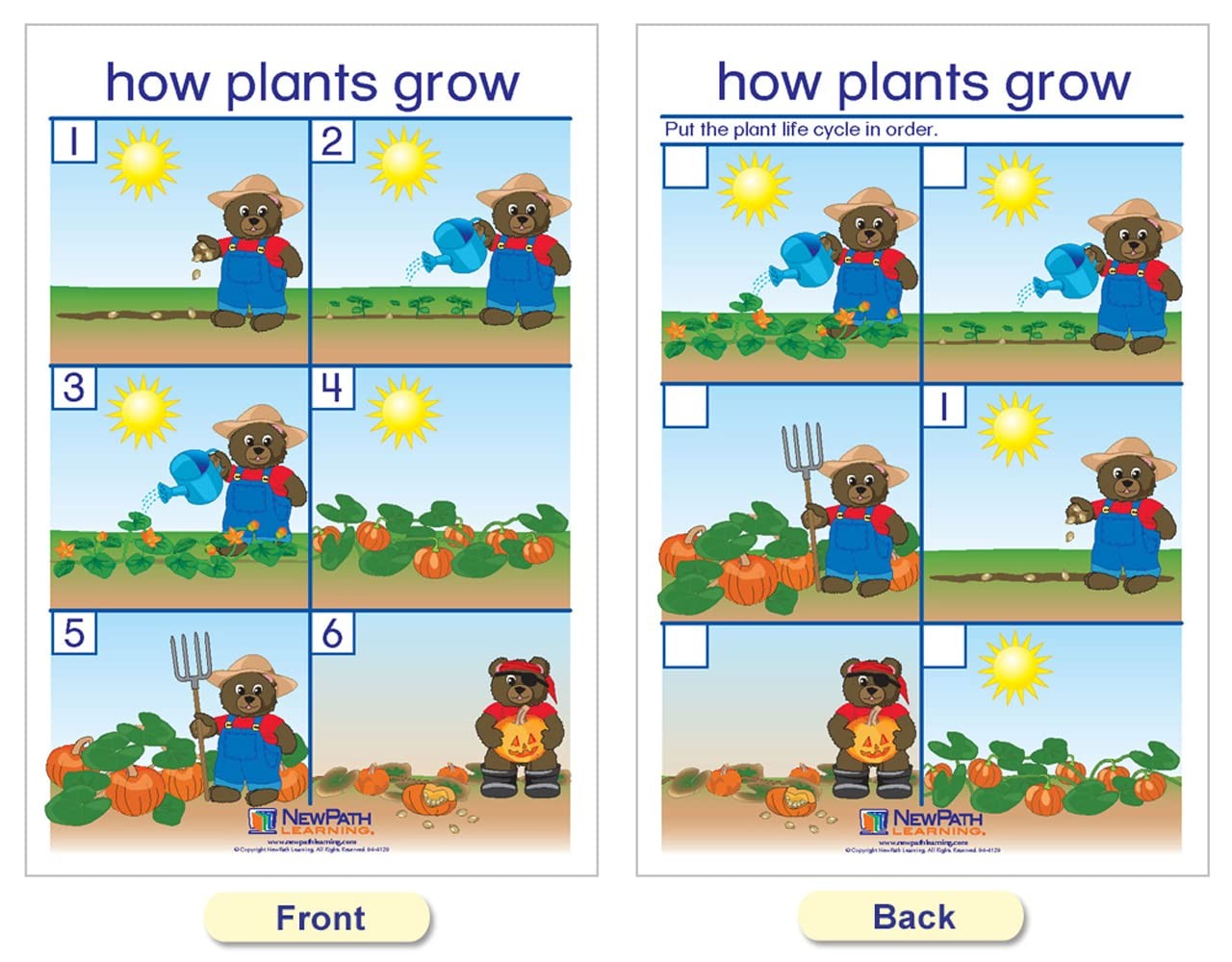 Newpath Learning Newpath All About Plants Bulletin Board Charts – English