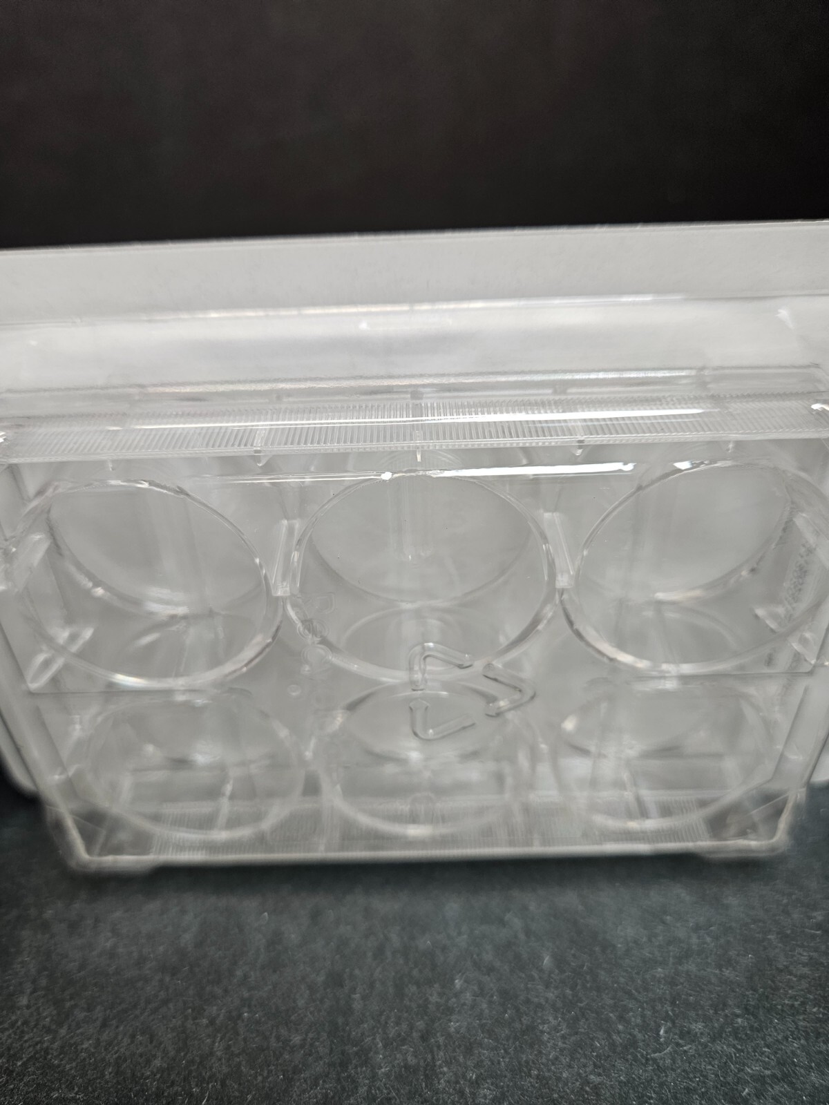 Fisherbrand Microplate 6 Well Flat Bottom 100 Plates