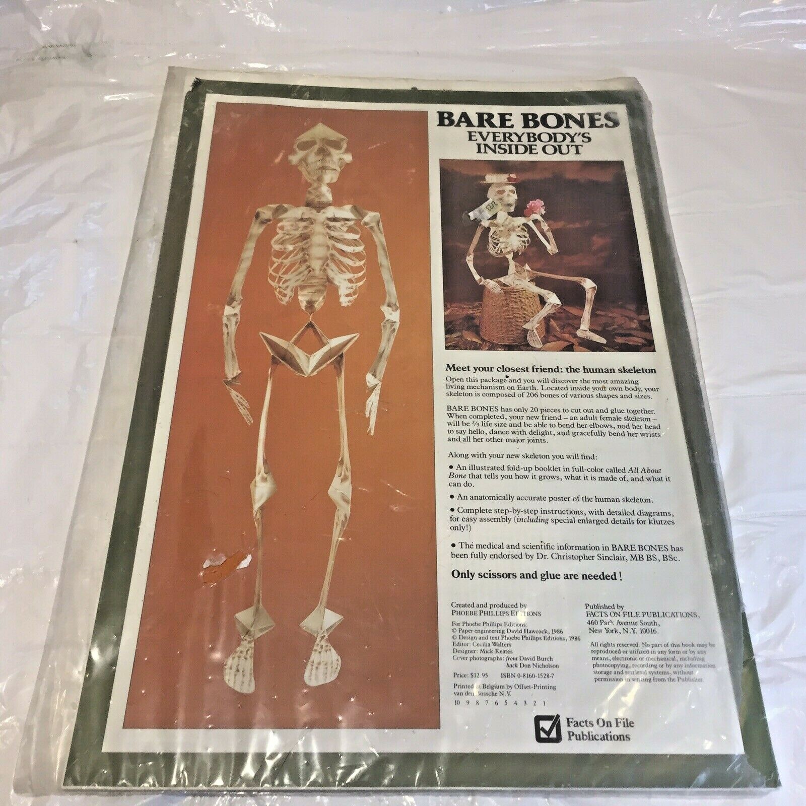 Vtg Halloween Bare Bones Human Paper Mobile Skeleton Model by David Hawcock NIP