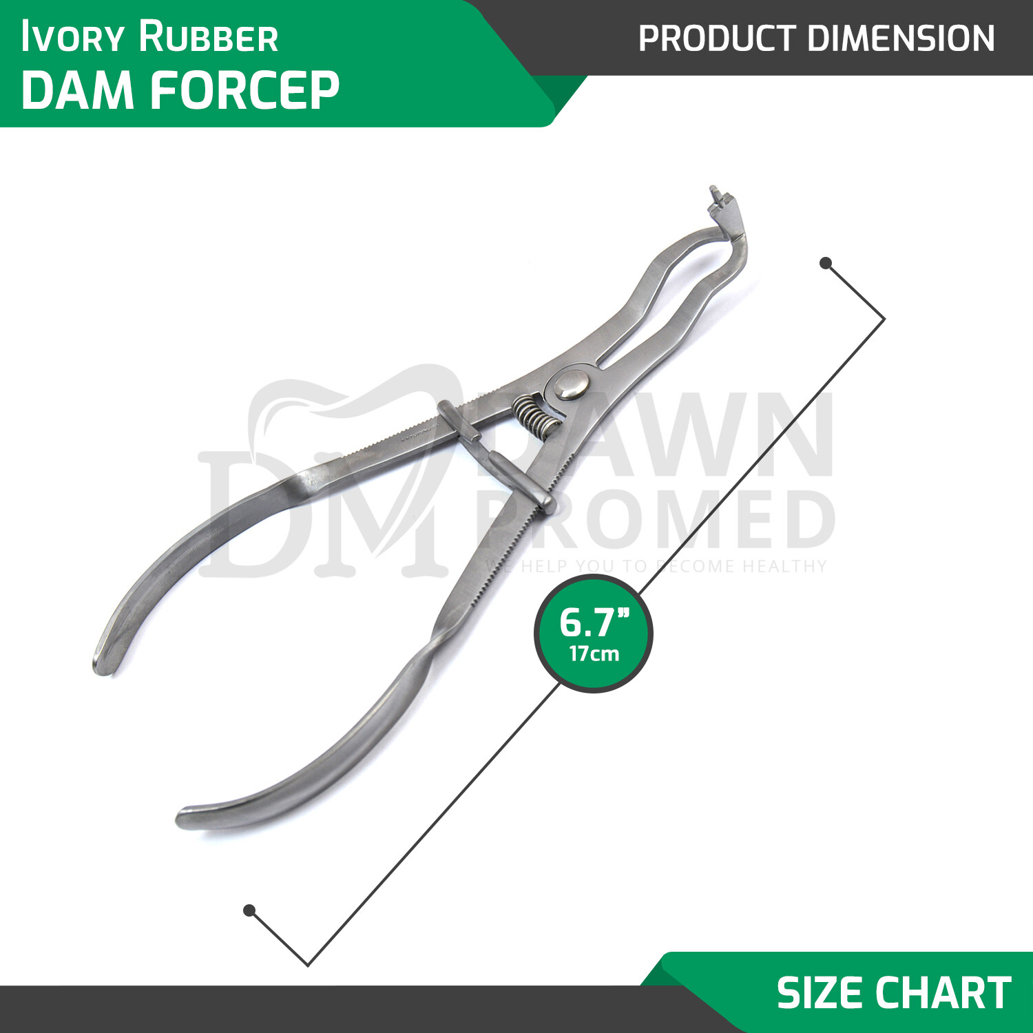 Dental Ivory Light Rubber Dam Clamp Forceps Plier Restorative Endodontic German