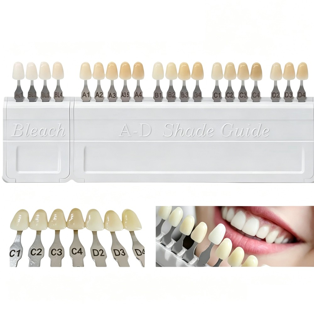 New 1 Set For VITA Classical Dental Shade Guide with Bleached Shades Clip