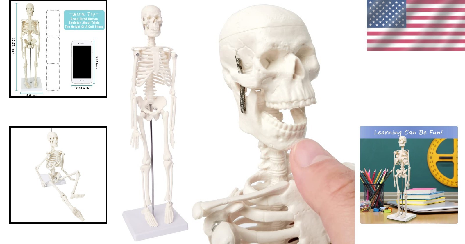 Full Body Human Skeleton Model for Medical Learning