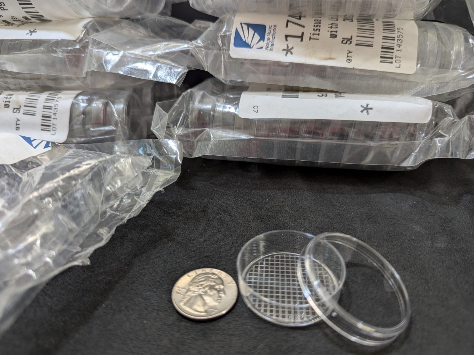 20 pack – Cute little plastic petri dishes with grids, miniature