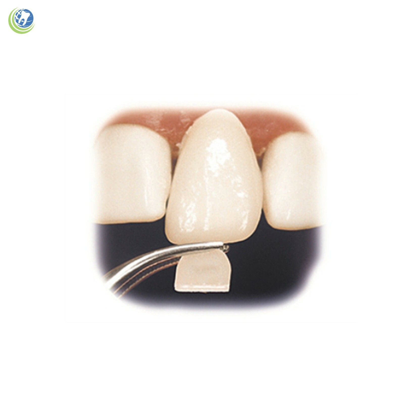 DENTAL POLYCARBONATE TEMPORARY CROWNS #10 (URC) UPPER RIGHT CENTRAL 5/PACK