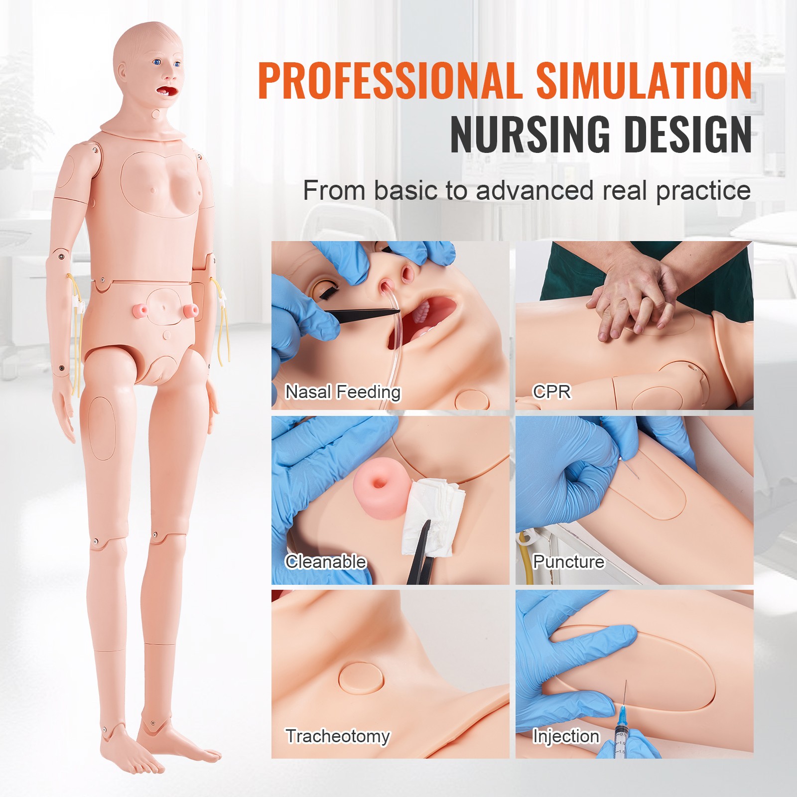 Uimoso Male/Female Manikin Model Anatomical Nursing Training Patient Care Teach