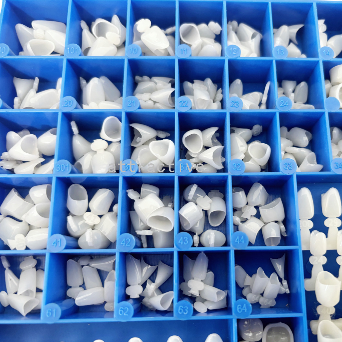 Temporary Dental Crowns 66Size Crown Mold Guides Premolar Molar Anterior Cuspid