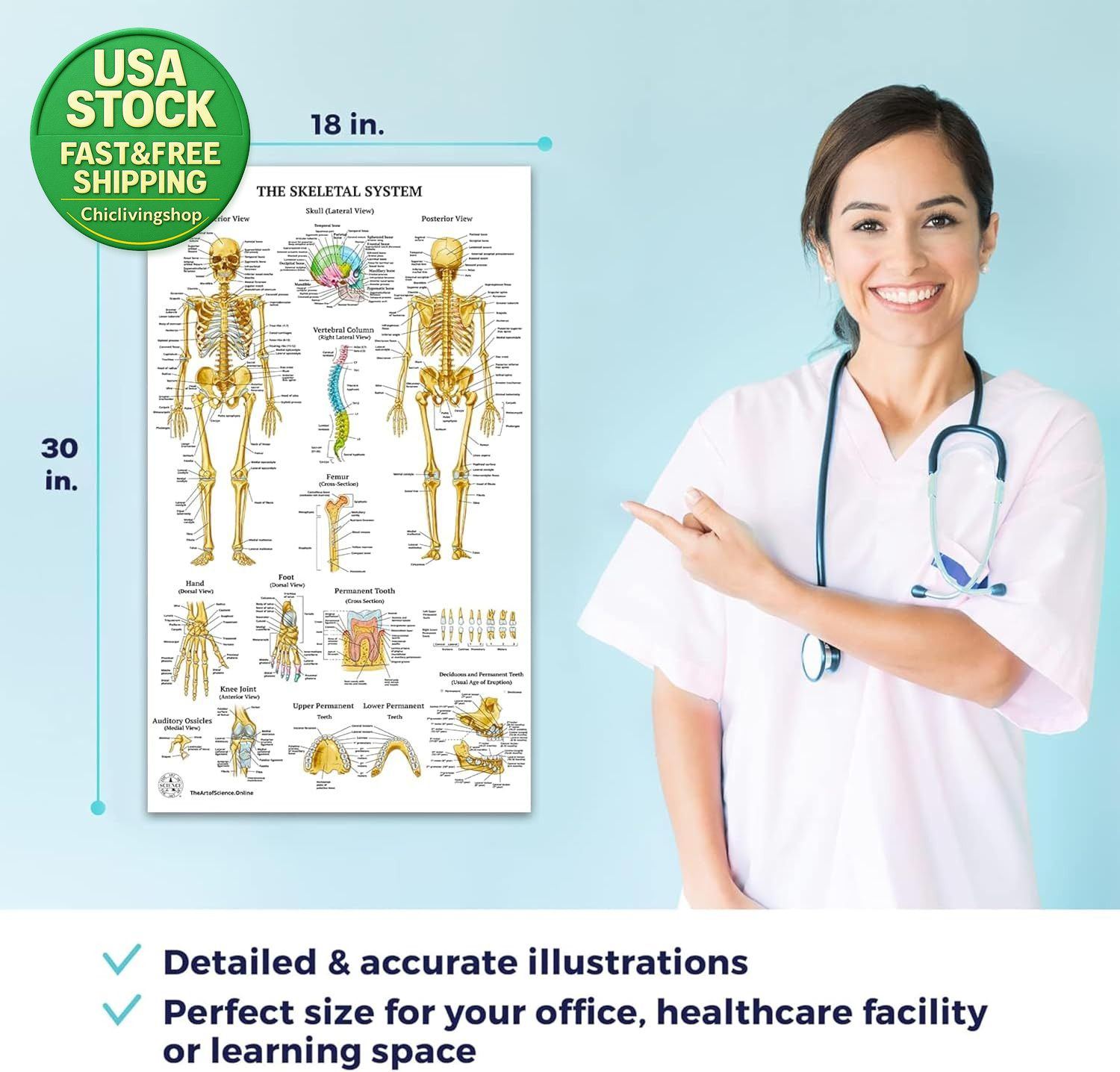 17 Human Anatomy Posters Medical Charts Classroom Office 18X30 Laminated