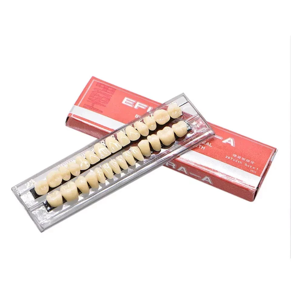 28 Pcs/Set Dental A2 A3 Acrylic Resin Denture Shade Full Set False Teeth #23