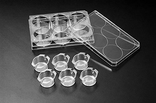 SPL Inserts Hanging PC membrane Opaque, 24 mm diameter, 0.40 µm pore, Sterile