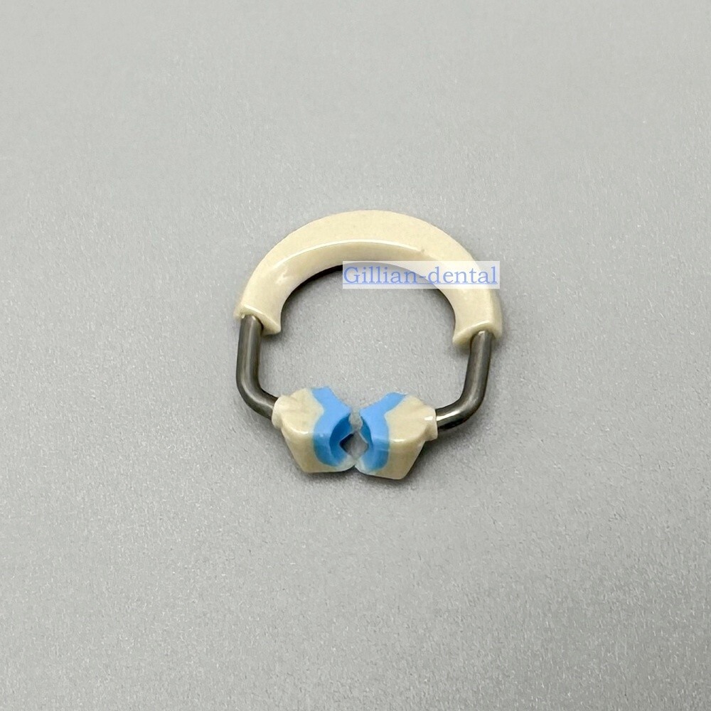 Dental Ortho Sectional Matrix System Nickel Titanium Alloy Matrices Clip Ring
