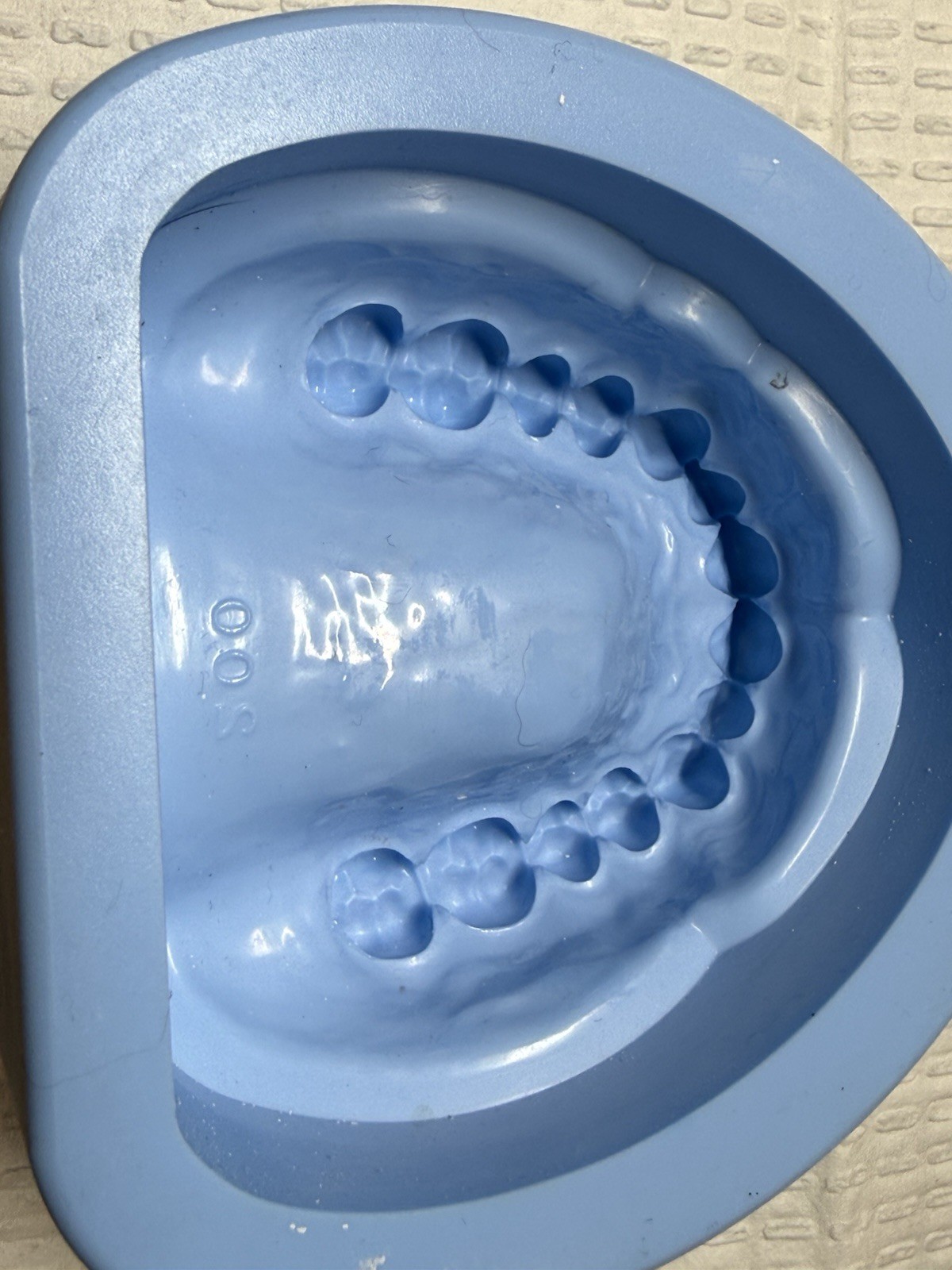 Dental Mold Cast Silicone Plaster Stone Maxillary Mandibular Maxilla Mandible