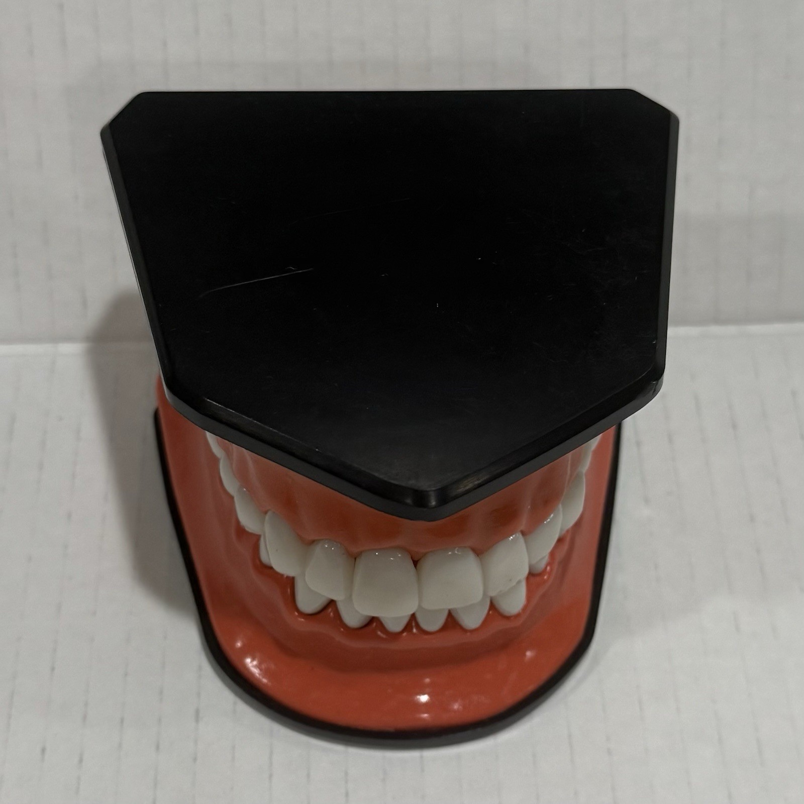 Oral Teaching Model Learning Demonstration Display for School and Home Classroom