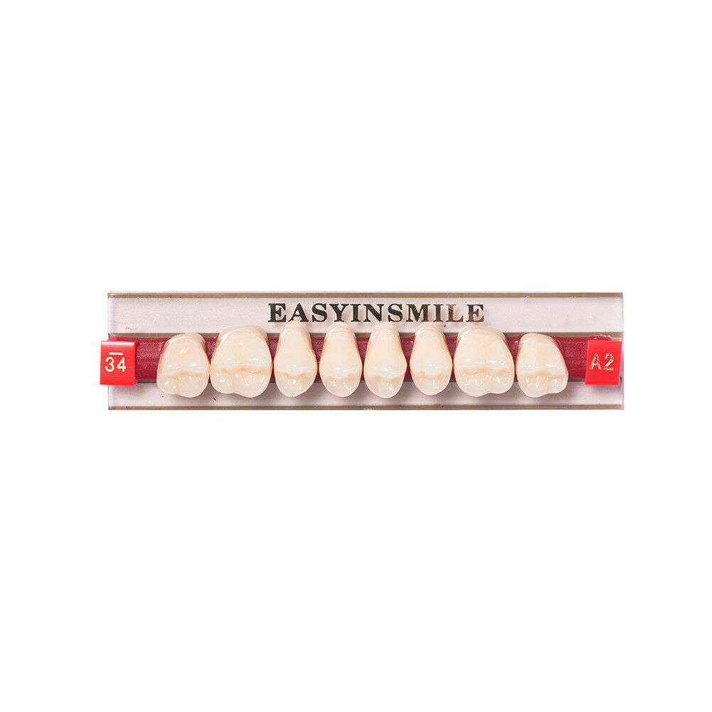 Dental Teeth Set Dental Acrylic Resin Denture A1/2/3 Tooth Posterior Upper/Lower