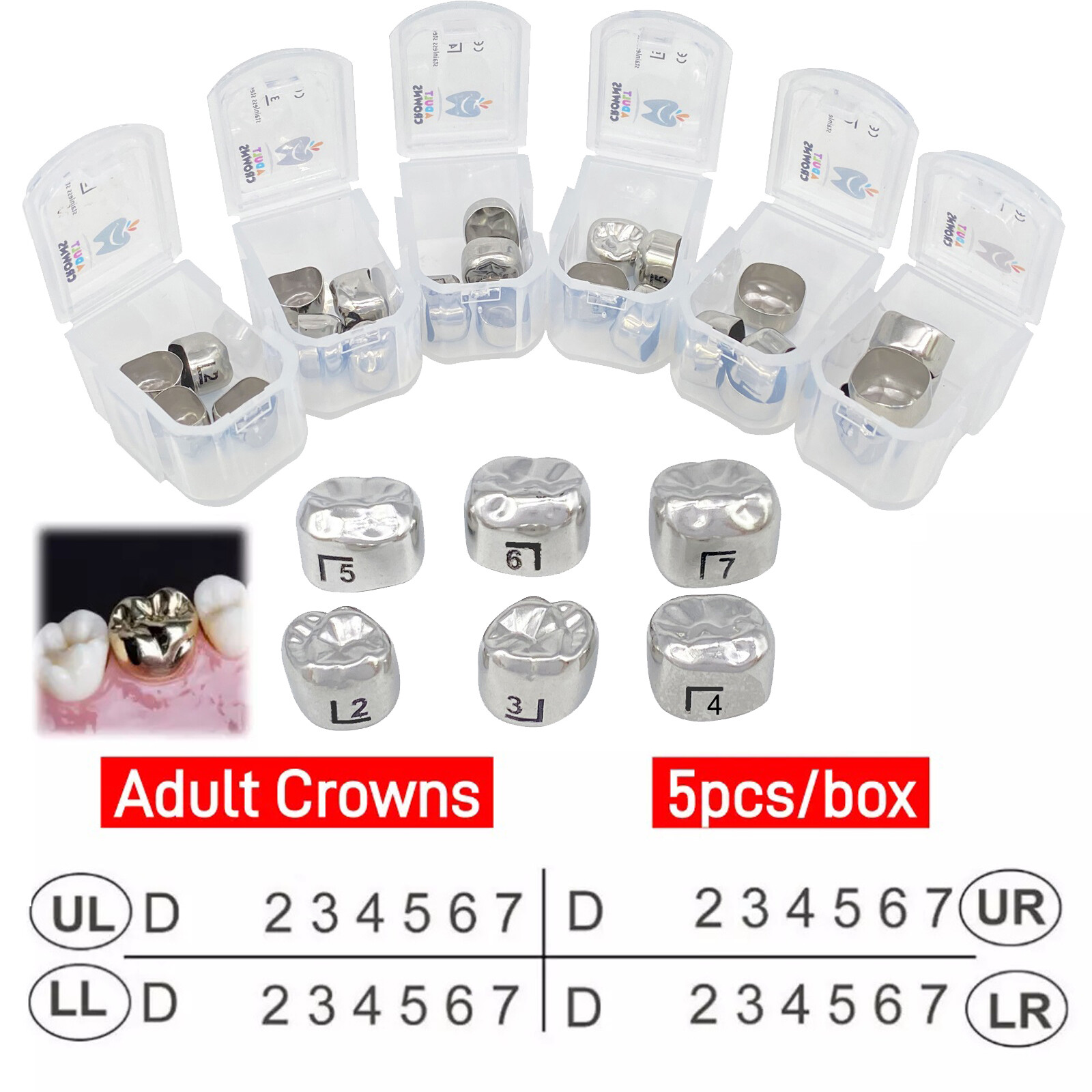 5Pcs Dental Adult Crown Stainless Steel Permanent Molar Teeth Temporary Crowns