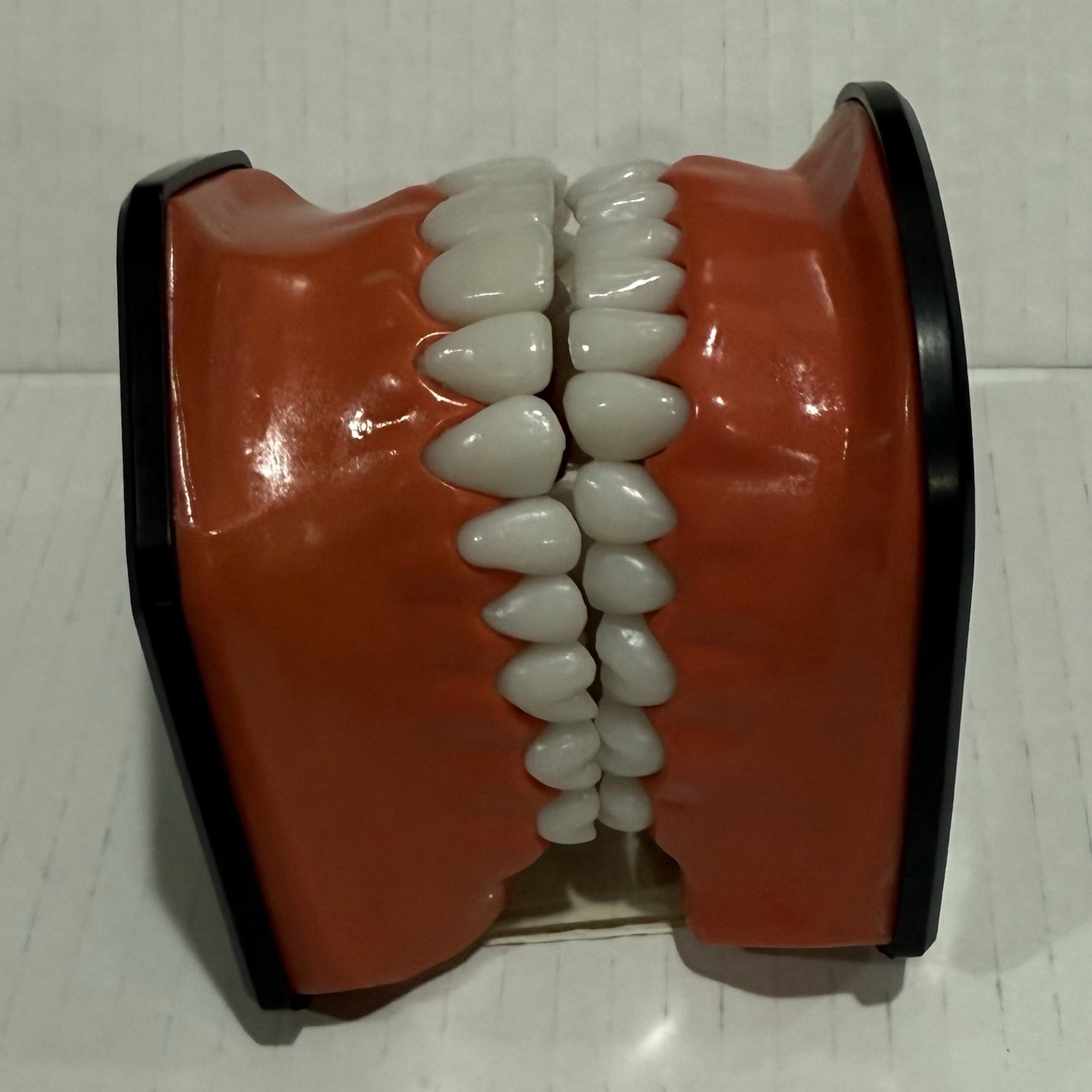 Oral Teaching Model Learning Demonstration Display for School and Home Classroom