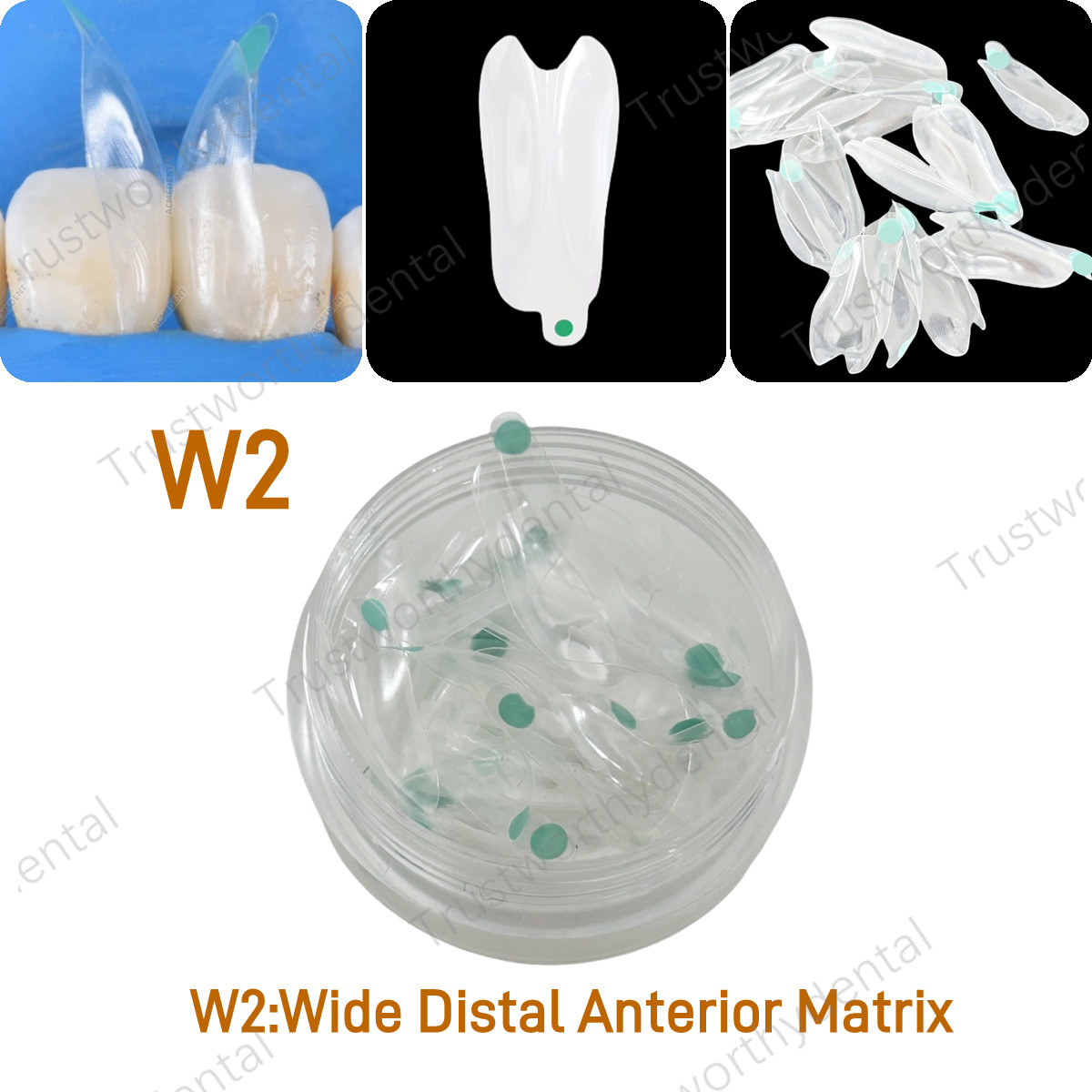 Dental Transparent Matrix Clear Bow Matrice Band Anterior Front Bioclear TorVM