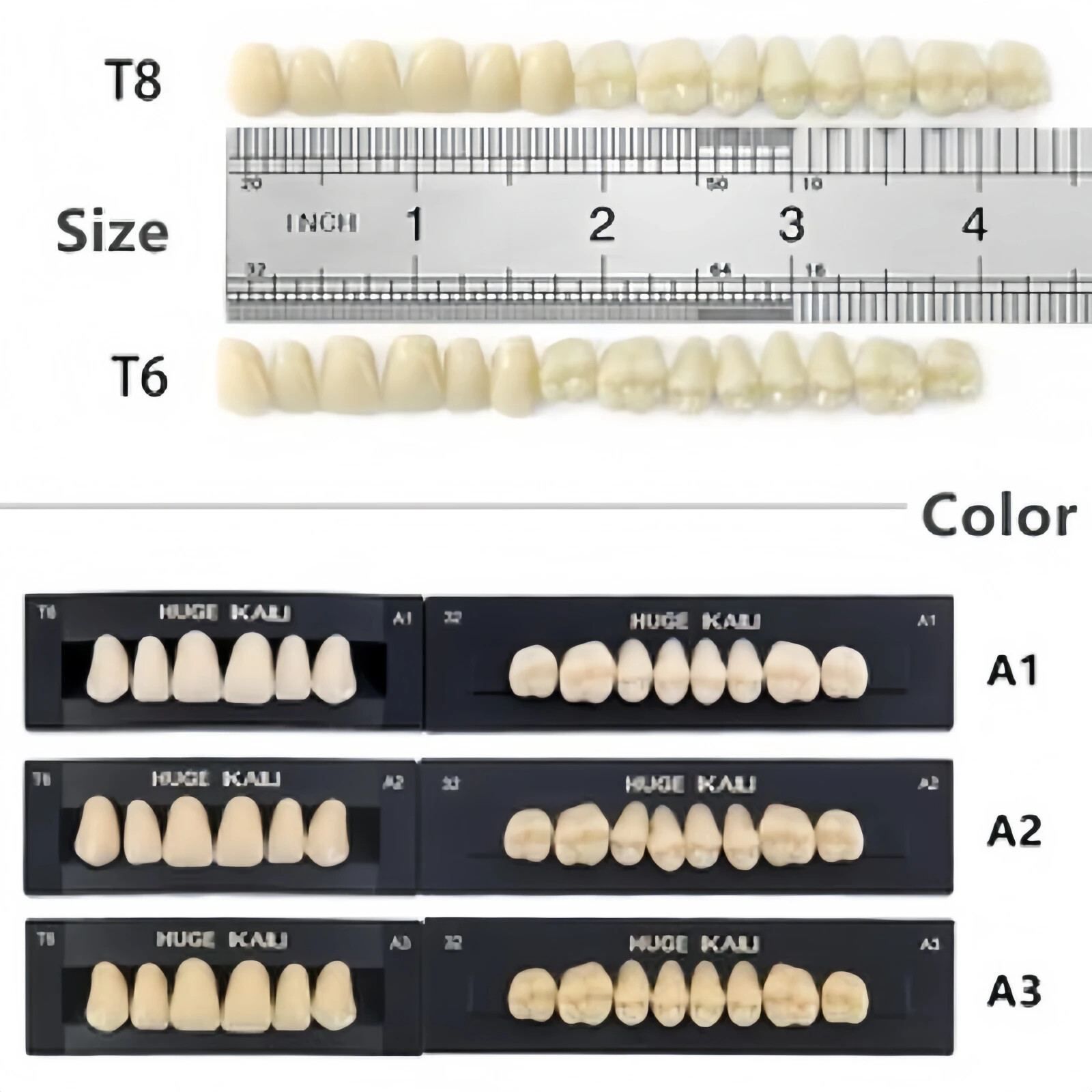 28Pcs/Set Dental Acrylic Resin Denture Teeth Full Set Upper&Lower A1/A2/A3