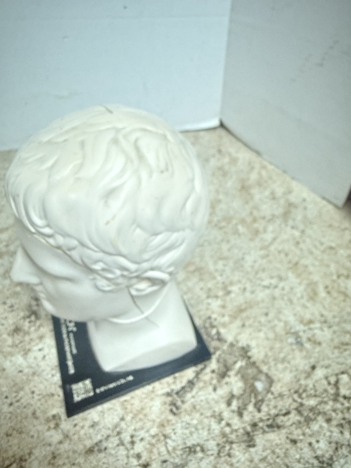 Vintage 1974 Merck Decadron Medical Display Bust With Brain Model Anatomy Piece