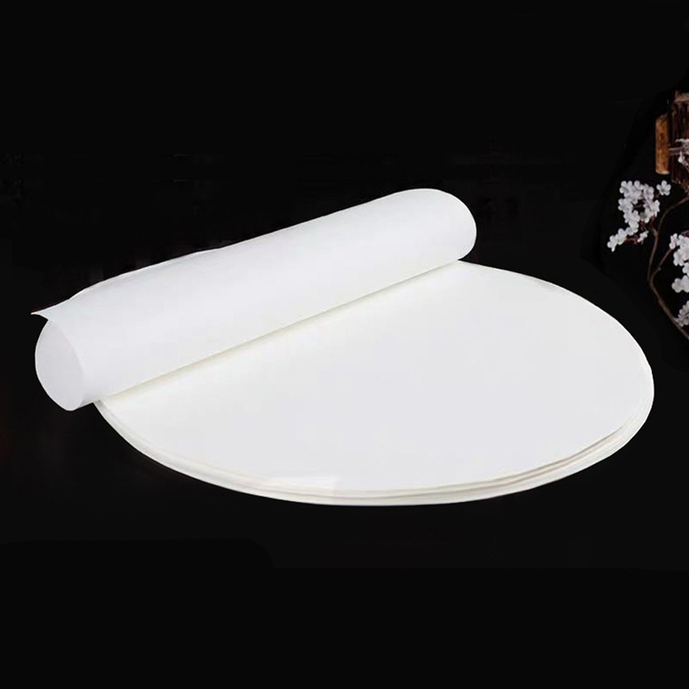100Pcs Reusable White Filter Paper Discs for Lab Particle Retention