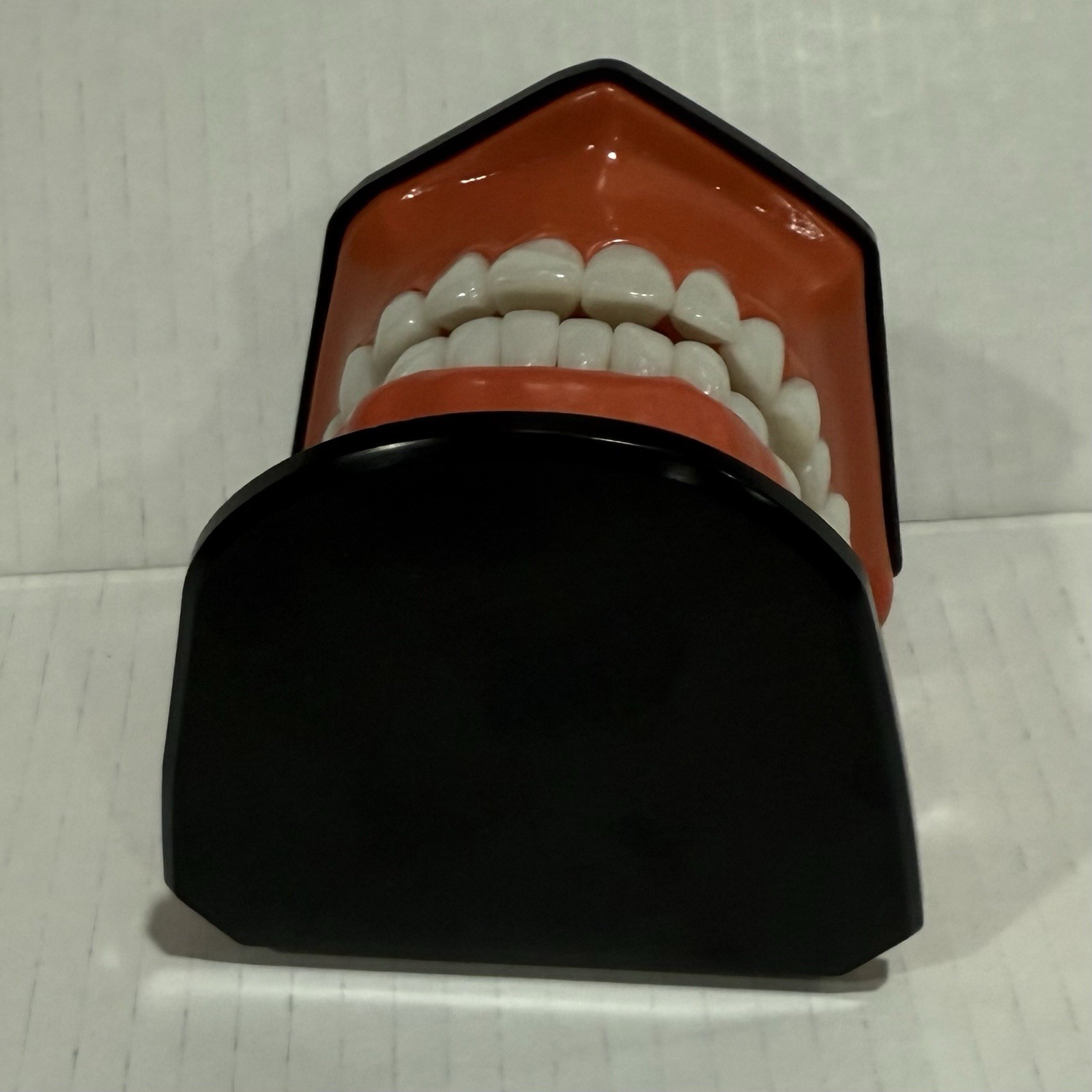 Oral Teaching Model Learning Demonstration Display for School and Home Classroom