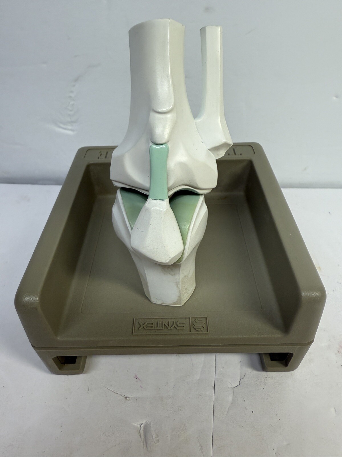 Naprosyn knee Medical Anatomical model ad Display
