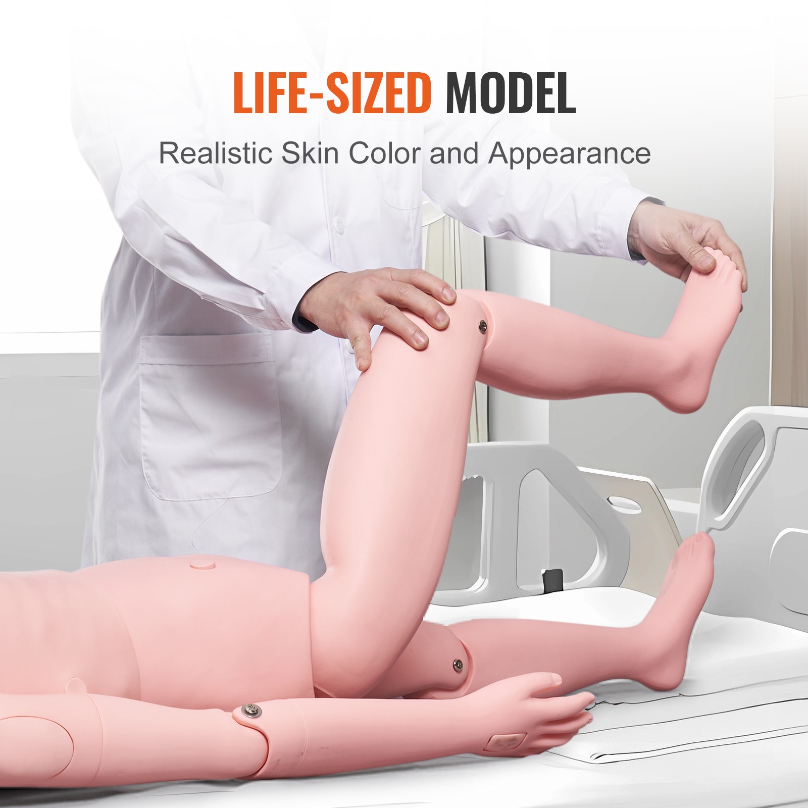 VEVOR Female Manikin Model Anatomical Nursing Training Patient Care Practice