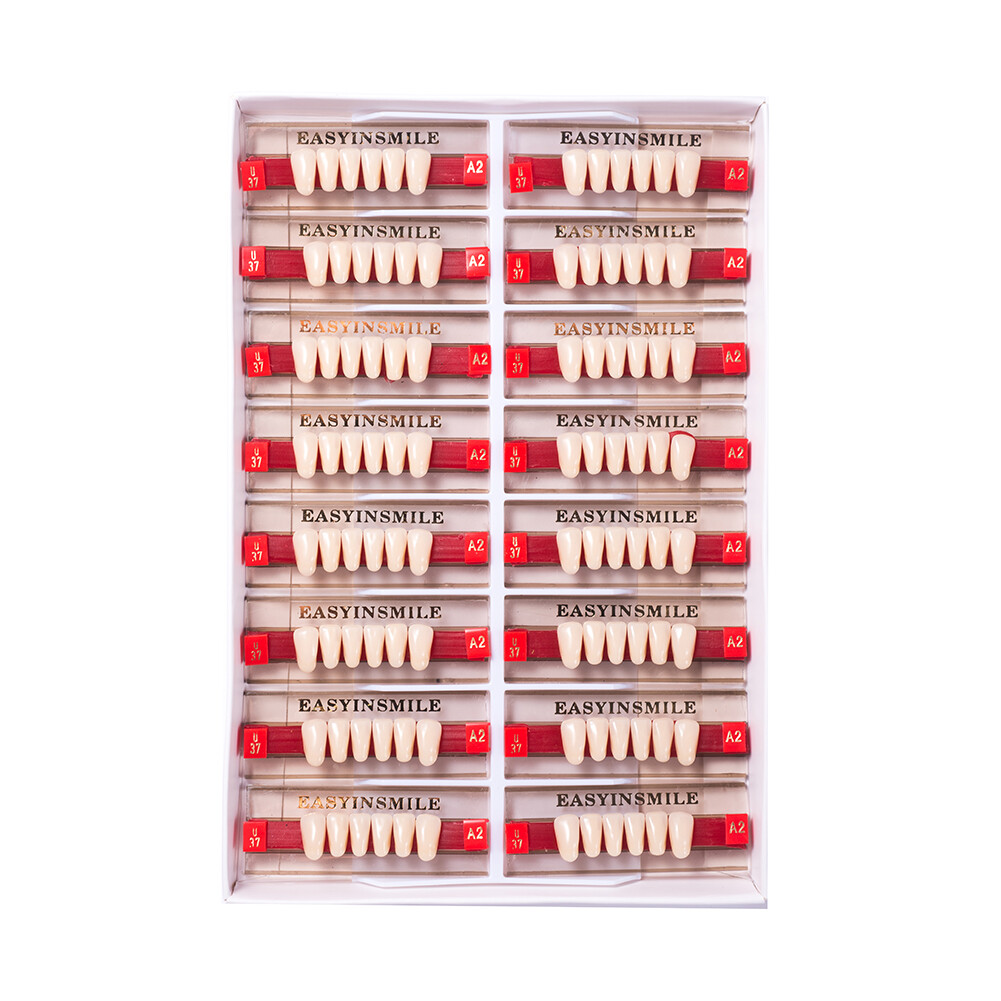 Dental Teeth Set Dental Acrylic Resin Denture A1/2/3 Tooth Posterior Upper/Lower