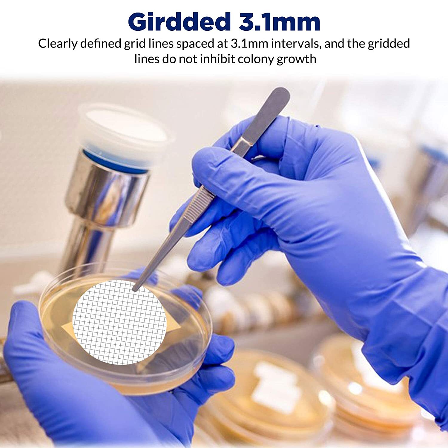 Mixed Cellulose Ester MCE Membrane Filter Grid,Hydrophobic 0.45µm 47mm,6000pcs