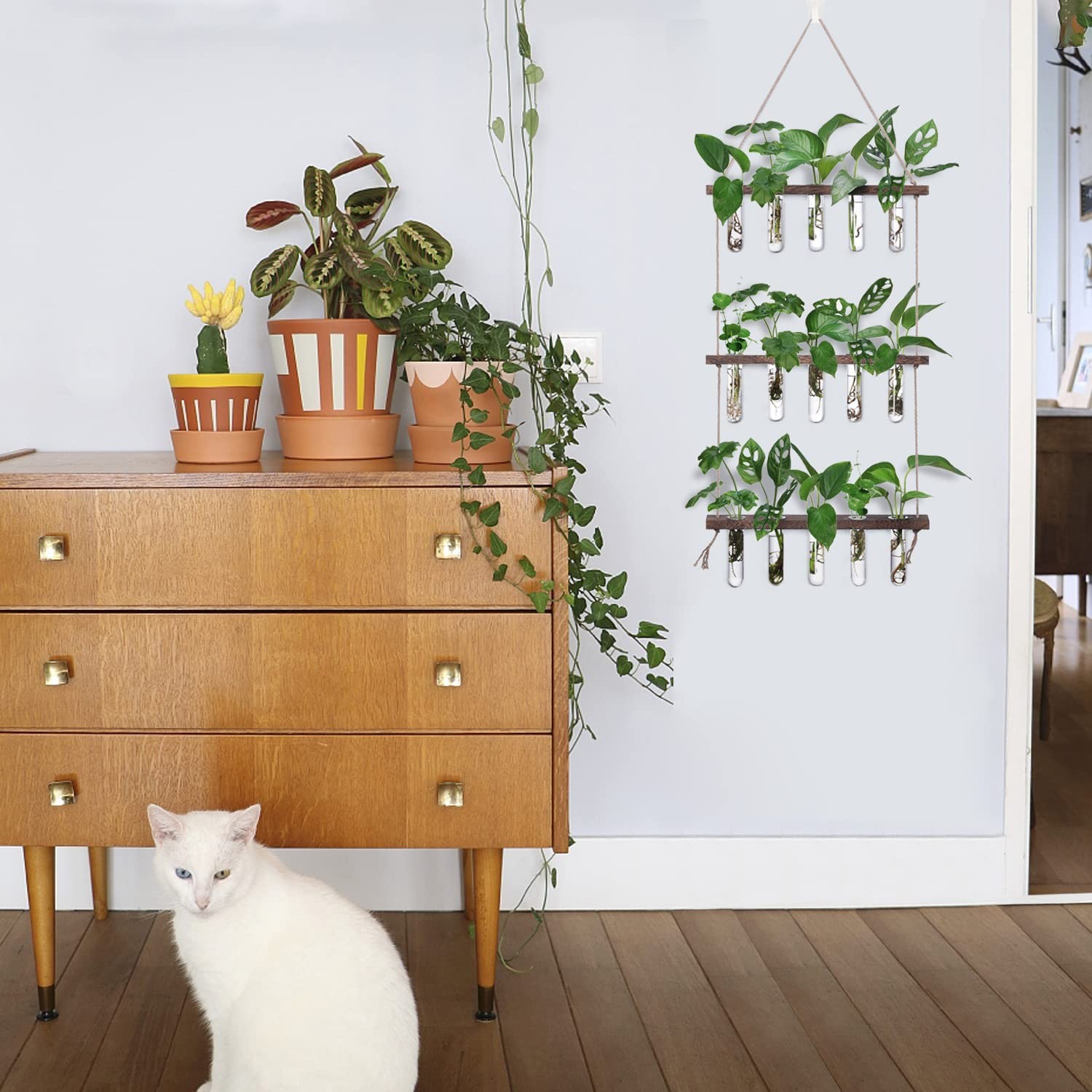 XXXFLOWER Wall Hanging Propagation Station with Wooden Stand 5 Glass Test Tubes