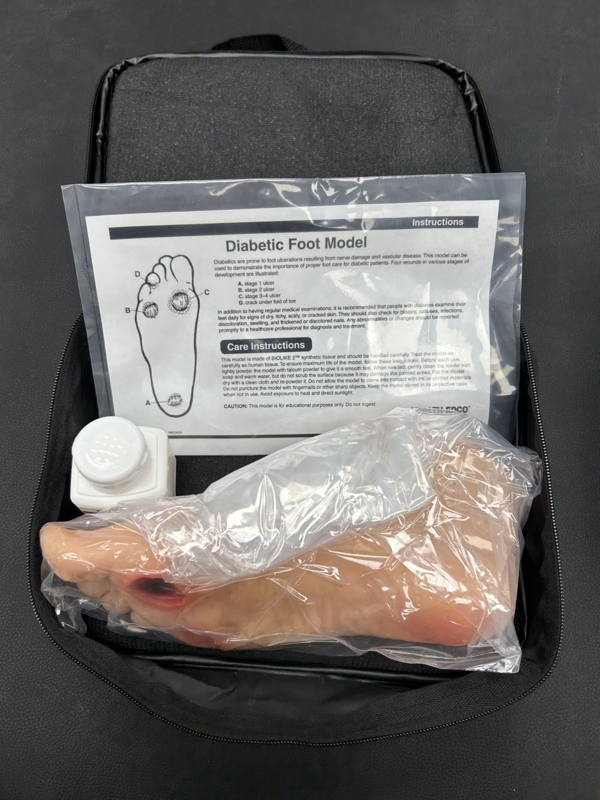 Diabetic Foot Model Set (Severe)