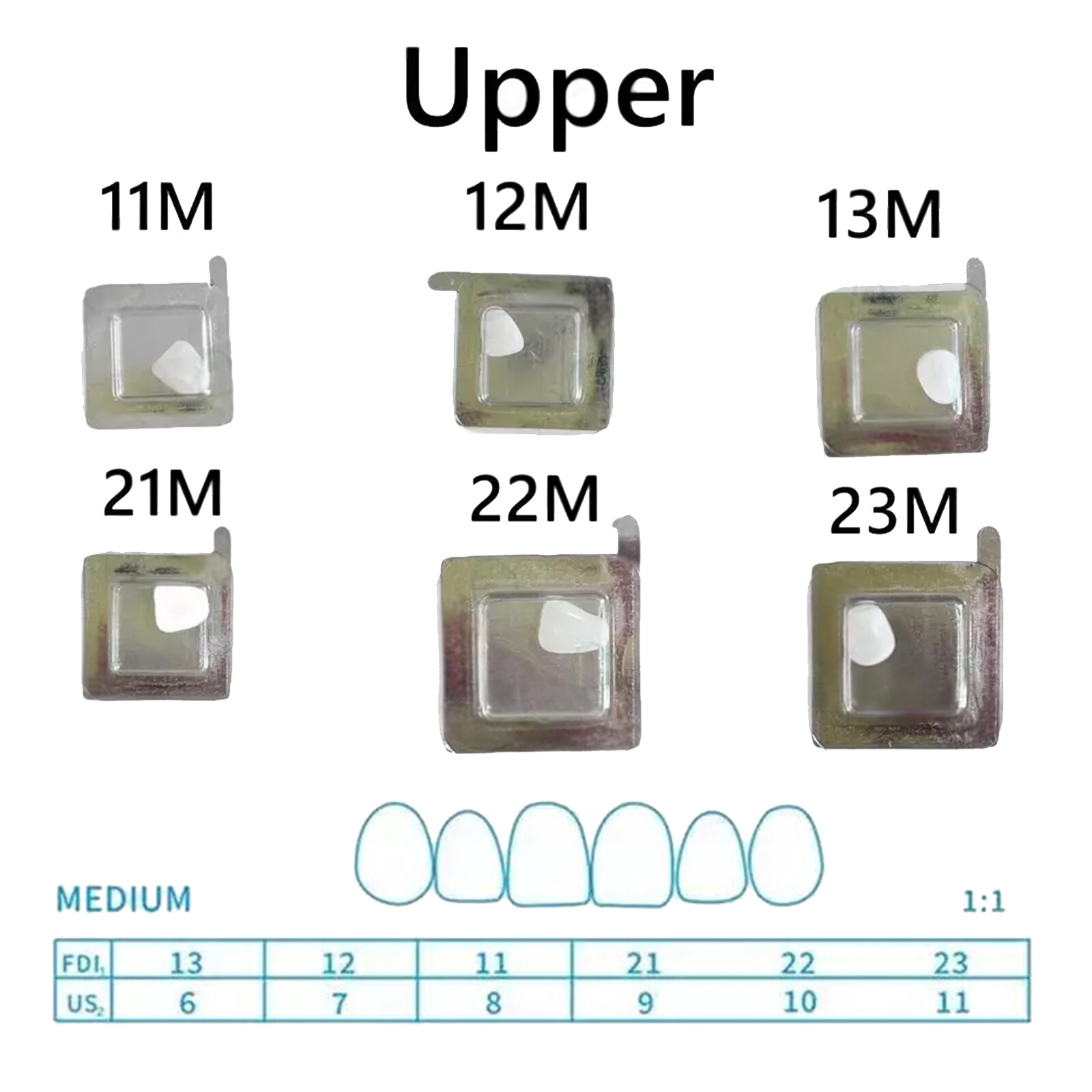 30Size Dental Composite Porcelain Veneers Resin Light Cure Anterior Teeth Veneer