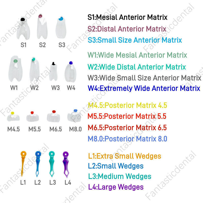Dental Transparent Matrix Clear Bow Matrice Band Anterior Front Bioclear TorVM