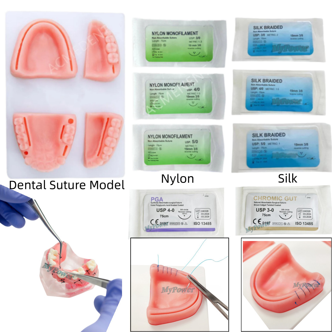 Dental Simulation Suture Model Gum Teaching Training Surgical Suture Reverse Cut