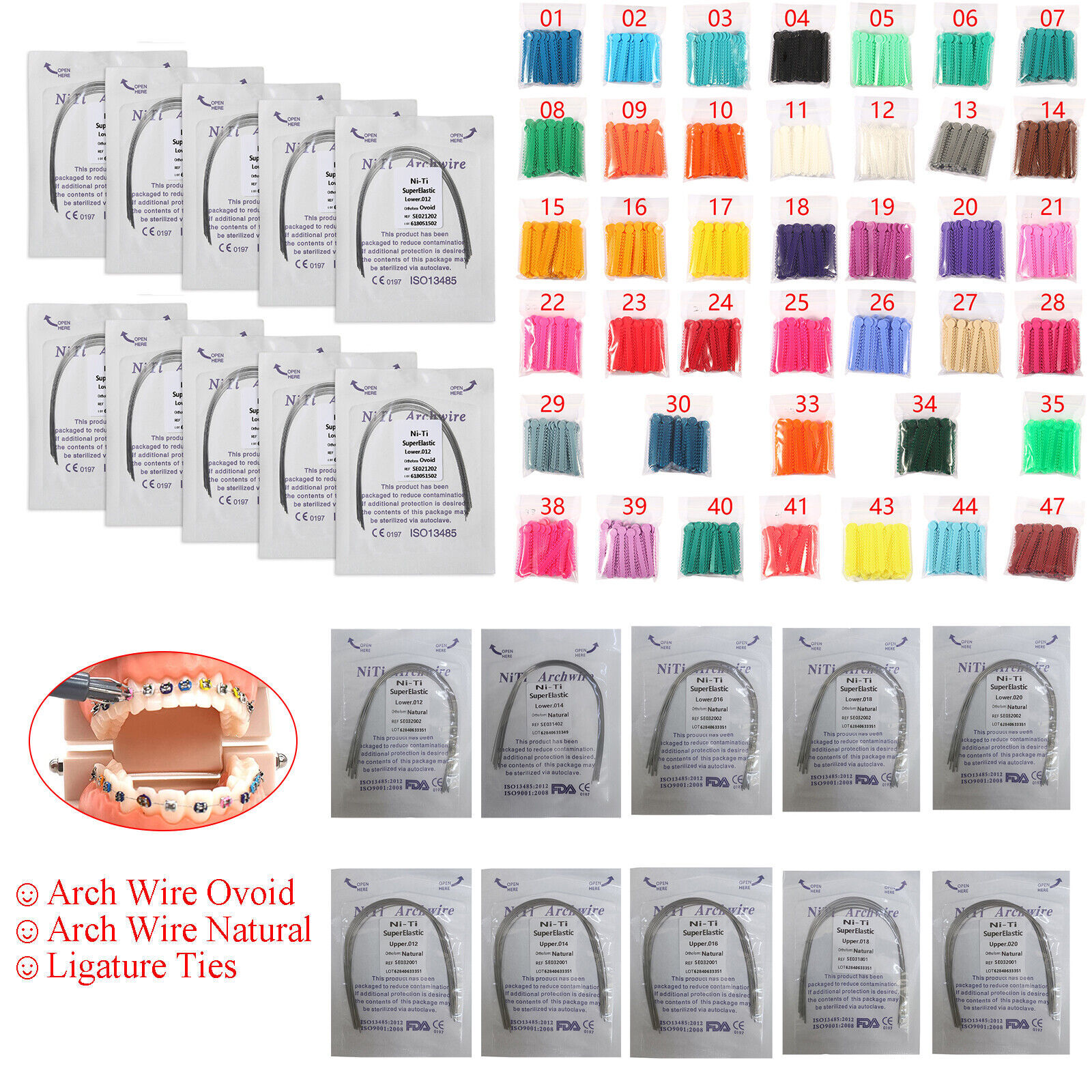 1040pcs Dental Orthodontic Ligature Ties Braces Elastic Rubber Bands 43 Colors
